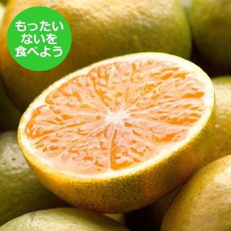 [もったいない!を食べよう][池田鹿蔵農園]「有田みかん」(早採り)2.5kg