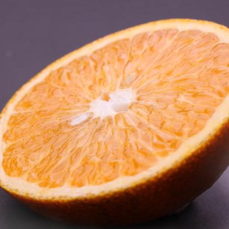 [池田鹿蔵農園]"樹上完熟"「はっさく」赤秀2.5kg