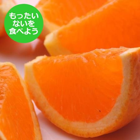 [もったいない!を食べよう][池田鹿蔵農園]「清見オレンジ」2.5kg