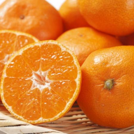 和歌山県有田みかん 秀品5kg(S〜Lサイズおまかせ)