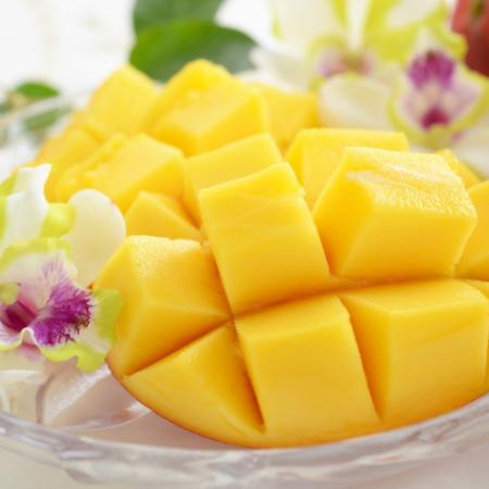 和歌山県産しおさいマンゴー秀品2玉(0.8kg)