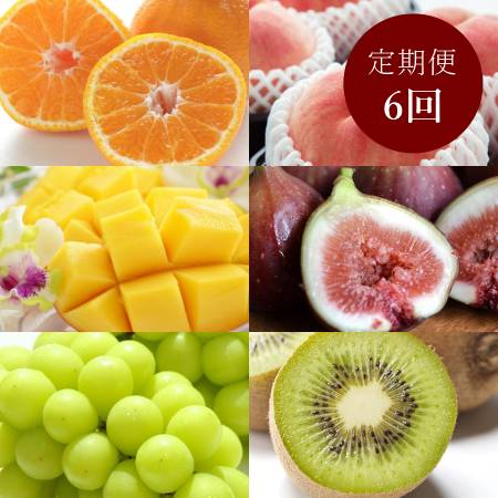 和歌山県産"秀品"「旬の果物」(マンゴー入)[6回定期便]