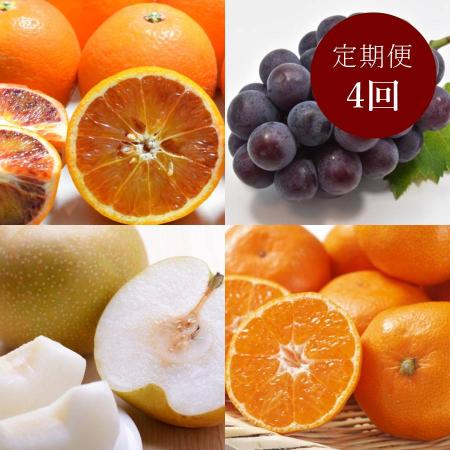 和歌山県産秀品セレクト旬のフルーツ定期便(4回)