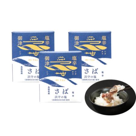 [御津フィッシャーマンズファクトリー]さばの塩辛(80g×3本)