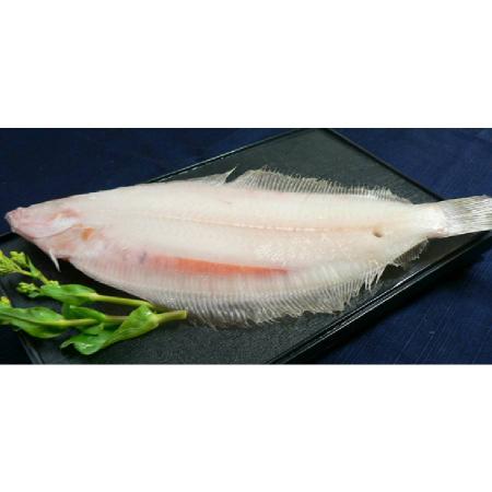 [河野乾魚店]「子持笹かれい」140g×10(計1.4kg)