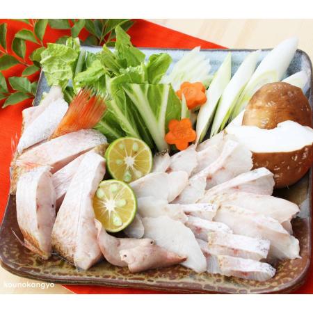 [河野乾魚店]「のどぐろ」しゃぶしゃぶ用(肝付)500g