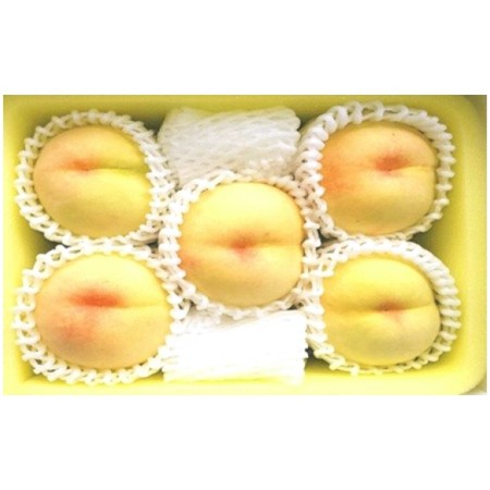 [土方商店]「岡山白桃」ロイヤル 5〜7玉(1.5kg)