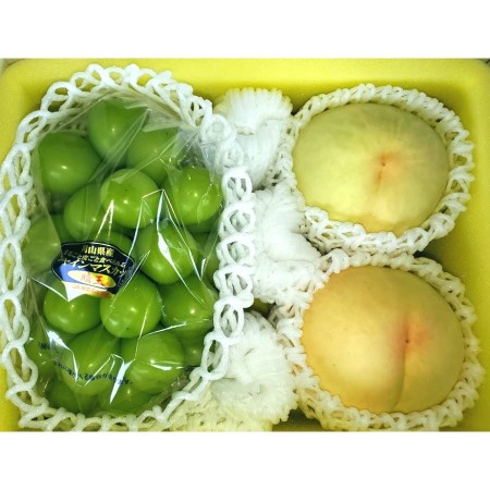 [土方商店]「岡山白桃」&「シャインマスカット」 1.2kg(各600g)