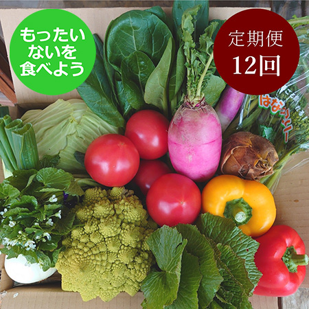 [もったいない!を食べよう]わがままお野菜定期便(8〜14種) 12回