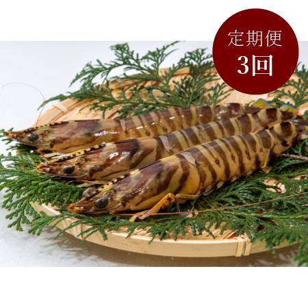 [旭水産]秋穂産活き〆「車海老」冷凍400g[3ヵ月定期便]