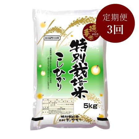 [瑞穂糧穀]〜“天然記念物"源氏ホタルの里〜特別栽培米「穂垂米こしひかり」5kg[3ヵ月定期便]