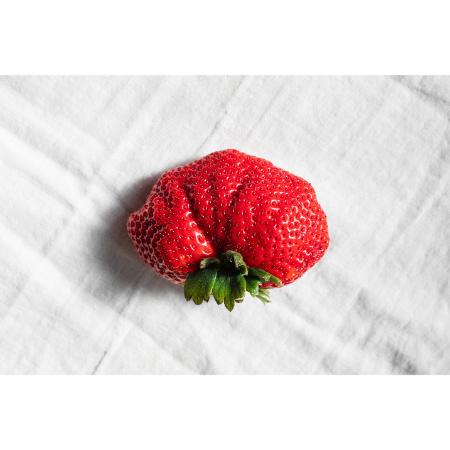 [BUTTOBI BERRY ORGANIC ]とくしまオーガニックいちご 鶏冠果・桐箱入り400g