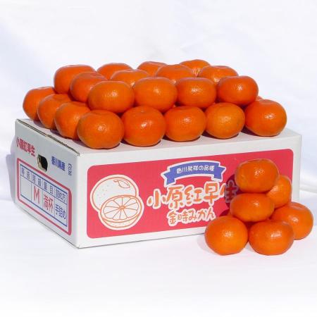 小原紅早生みかん5kg(S〜Lサイズ)