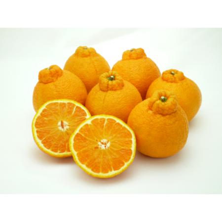 デコポン「不知火」3kg(M〜2Lサイズ)