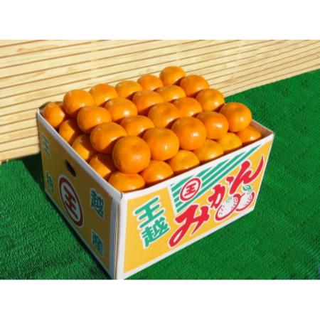 温州みかん5kg( S〜Lサイズ)