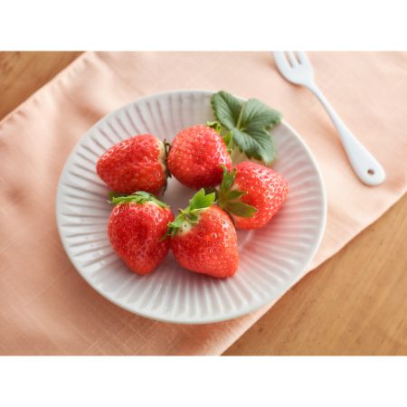 「苺」香川県オリジナル品種“さぬきひめ“2〜4月出荷400g化粧箱