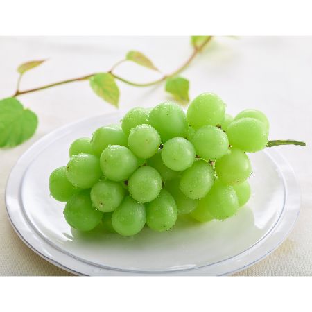 シャインマスカット1房(600g)化粧箱