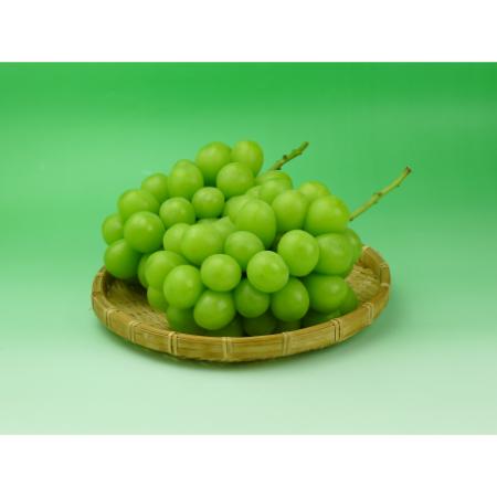 シャインマスカット1kg[2〜3房]旬のもぎたて特秀品