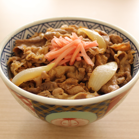 [牛丼専門店三河家]監修牛丼の具(大)170gx10食