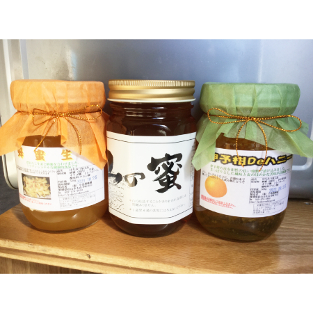 [小池養蜂園]蜂蜜3種セット(山の蜂蜜・伊予柑ハニー・生姜蜂蜜)各500g