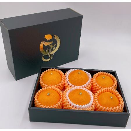 [愛媛県産]「紅プリンセス」2L〜3Lサイズ 5〜6個