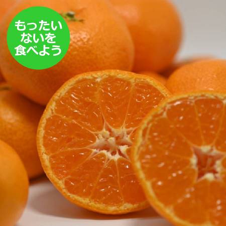 [玉津柑橘倶楽部][もったいない!を食べよう]「温州みかん」(南柑20号)5kg