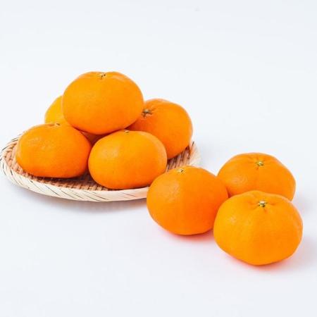 [宇和島青果]甘平 2.5kg
