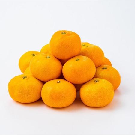 [宇和島青果]温室みかん 2kg