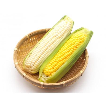 [宇和島青果]ホワイトコーン&とうもろこし各5本(計10本)