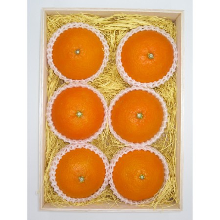 [宇和島青果][プレミアムシリーズ]紅まどんな2.5kg(三越伊勢丹選定)