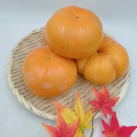 愛媛県産「太天柿」秀品 6〜8玉