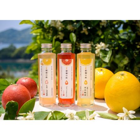 [季節園]柑橘の酢(3種類)170ml×3本