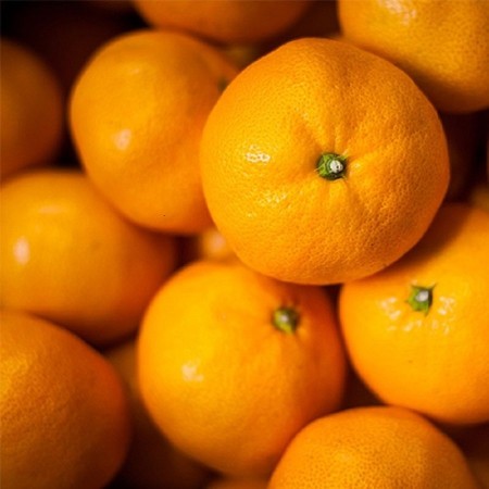 [清家ばんかんビレッジ]「温州みかん」特選 (M〜Lサイズ)3kg