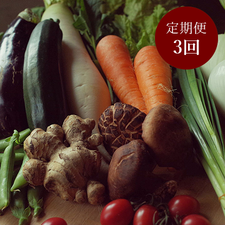 [土佐野菜]朝採れ土佐野菜とはでかけ米2kgセット 定期便3回