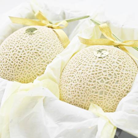 [一果相伝]特選花包み マスクメロン2玉(2.8kg以上)