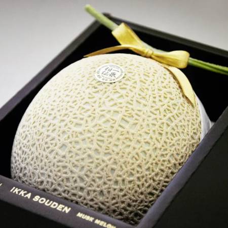 [一果相伝]上級品 マスクメロン1玉(1.4kg以上)