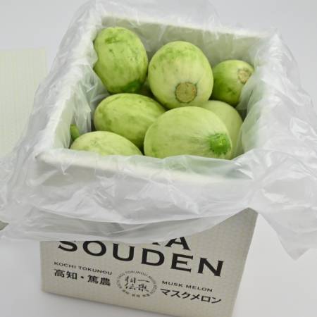 [一果相伝]『つるかめろんの玉子』(摘果メロン)2kg