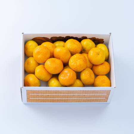 [南国フルーツ株式会社]八女産みかん2kg(サイズ:S〜L)