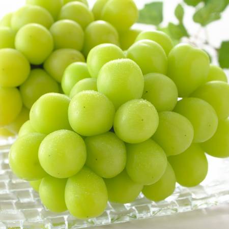 [ちくご葡萄園]シャインマスカット大粒4Lサイズ(1.3kg)(三越伊勢丹選定)