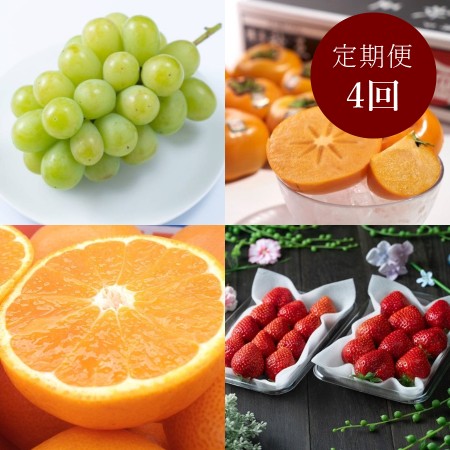 [岩田屋本店・南国フルーツ]「旬の果物」4回定期便