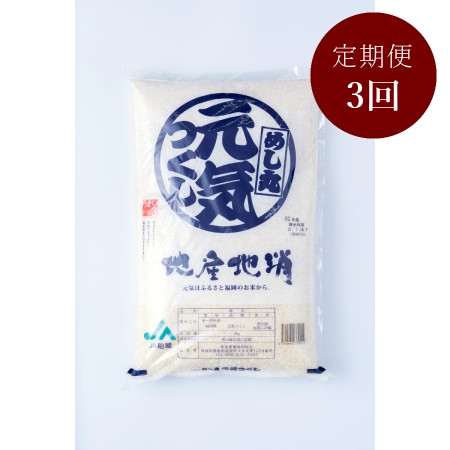 [岩田屋本店･南国フルーツ]福岡のお米「元気つくし」5kg 3ヶ月定期便
