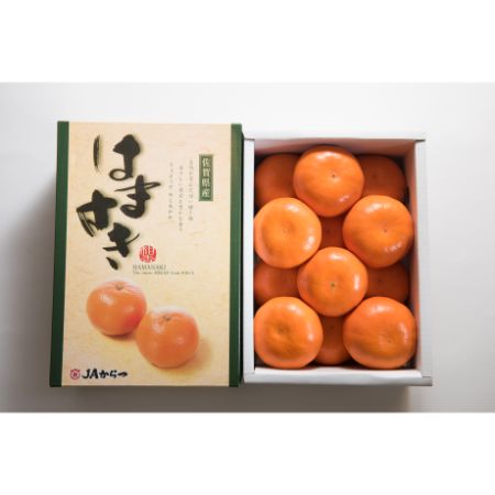 [岩田屋本店･南国フルーツ]佐賀産高級柑橘はまさき(麗紅)2.5kg(10-15玉)