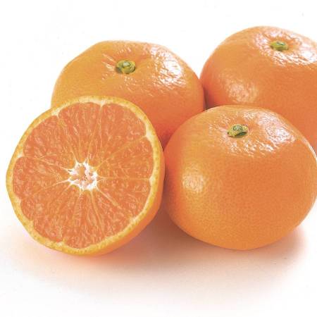 佐賀県産みかん「さが美人」 5kg