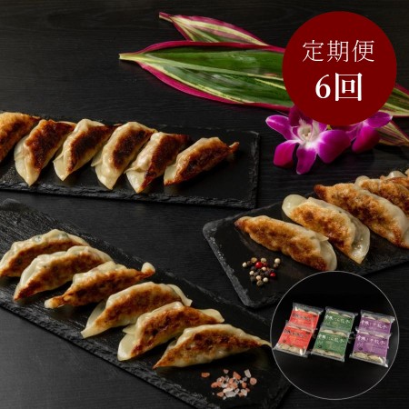 [金豚][定期便]金豚餃子60個セット×6回
