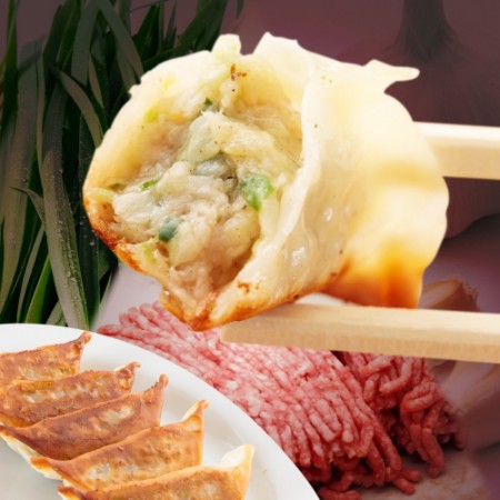 [屋台骨]宮崎餃子4種 48粒セット 960g