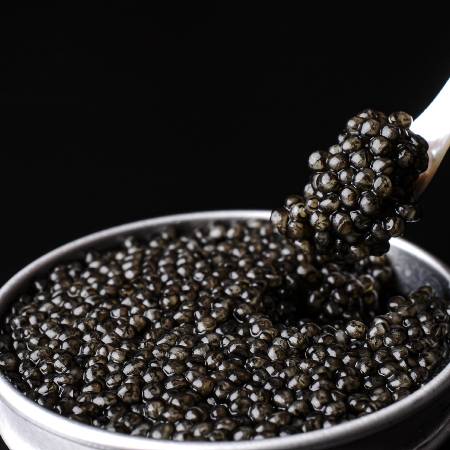 宮崎キャビア1983 (100g×4個) 桐箱入特別仕様