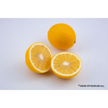 宮崎県産 マイヤーレモン(5kg:段ボール入り)