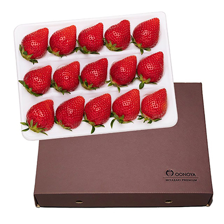 苺大野屋 やよいひめ 特別選定大粒いちご シングル450g