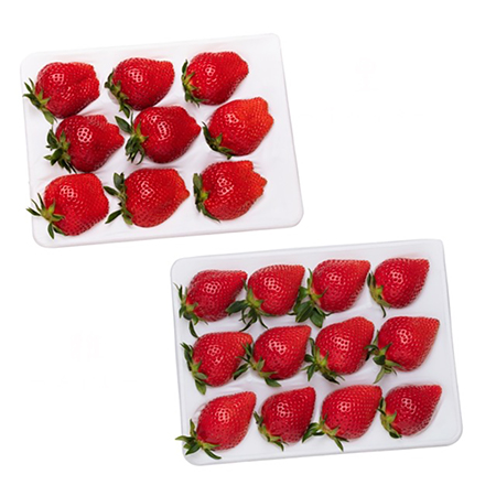 やよいひめ特別選定大粒いちごx2パック 計900g