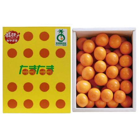 [美郷ノ蔵]完熟金柑「たまたま」化粧箱1kg